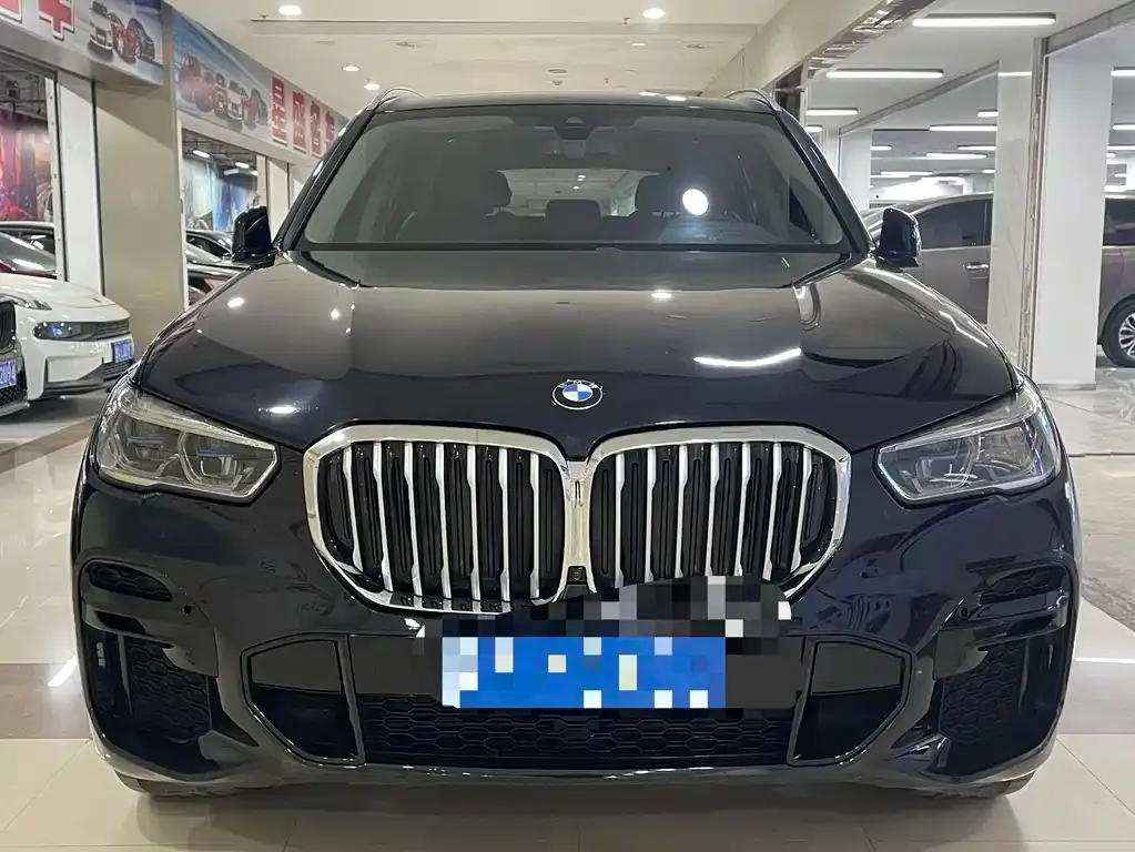 BMW X5 (Import) 2022 из CN, фото 4