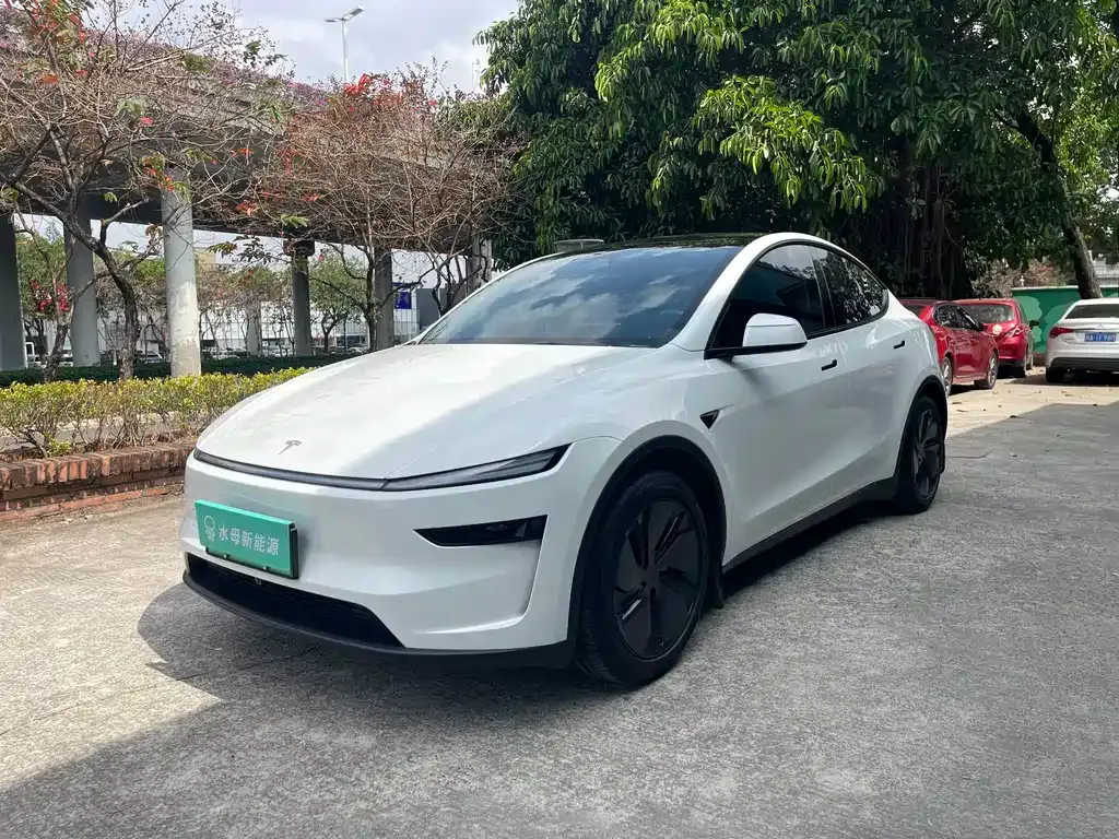 Tesla Model Y 2025 из CN, фото 1