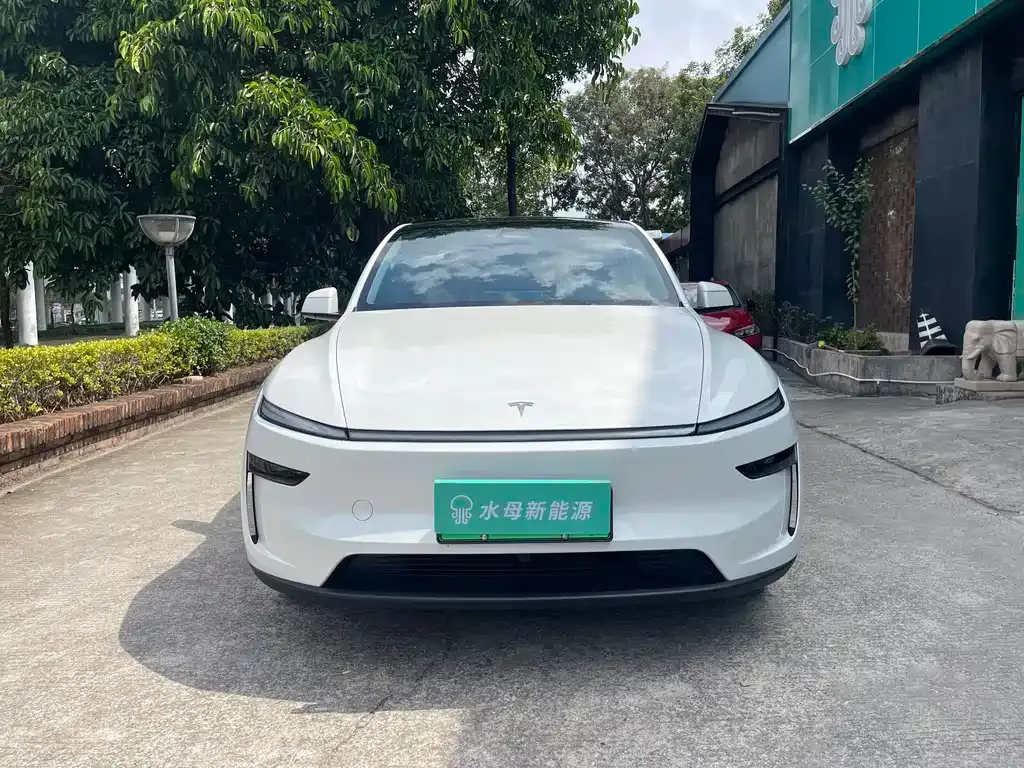 Tesla Model Y 2025 из CN, фото 7