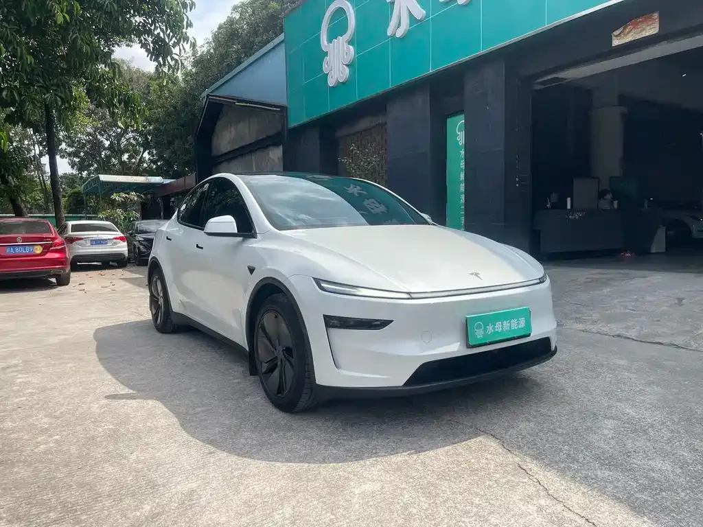 Tesla Model Y 2025 из CN, фото 5