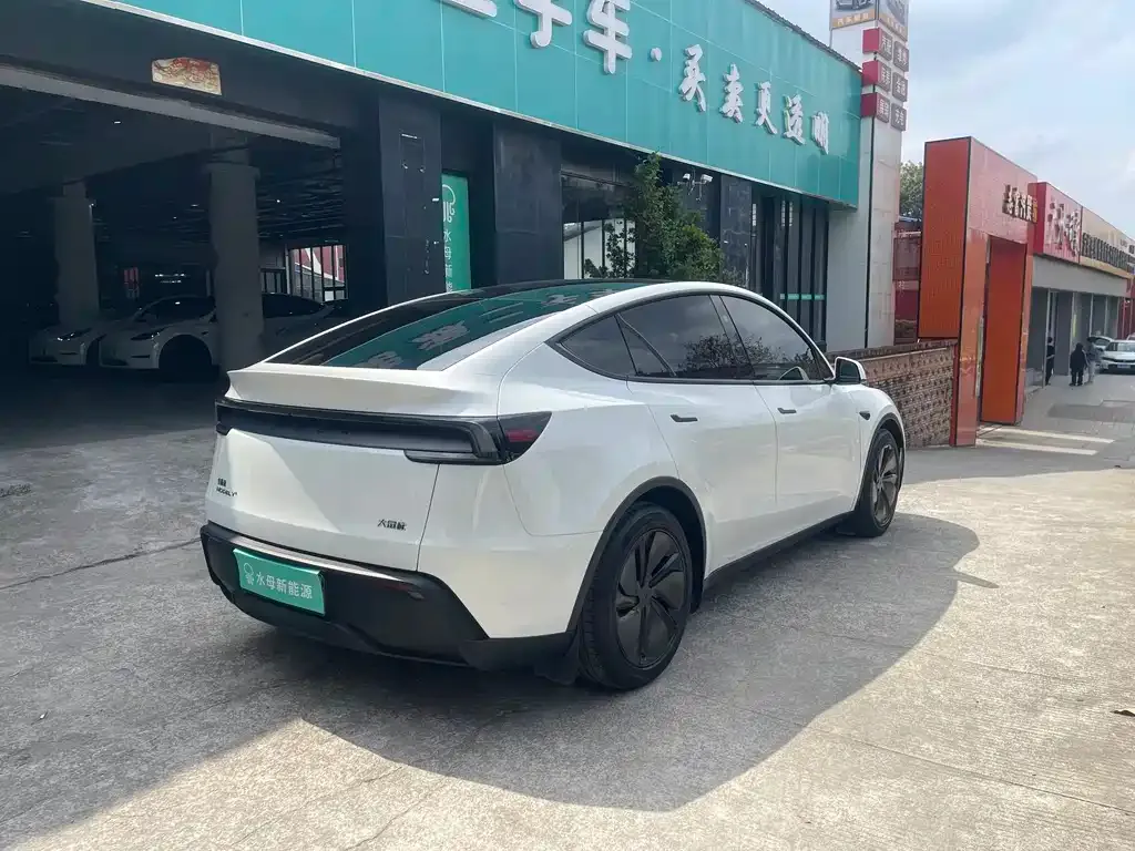 Tesla Model Y 2025 из CN, фото 3