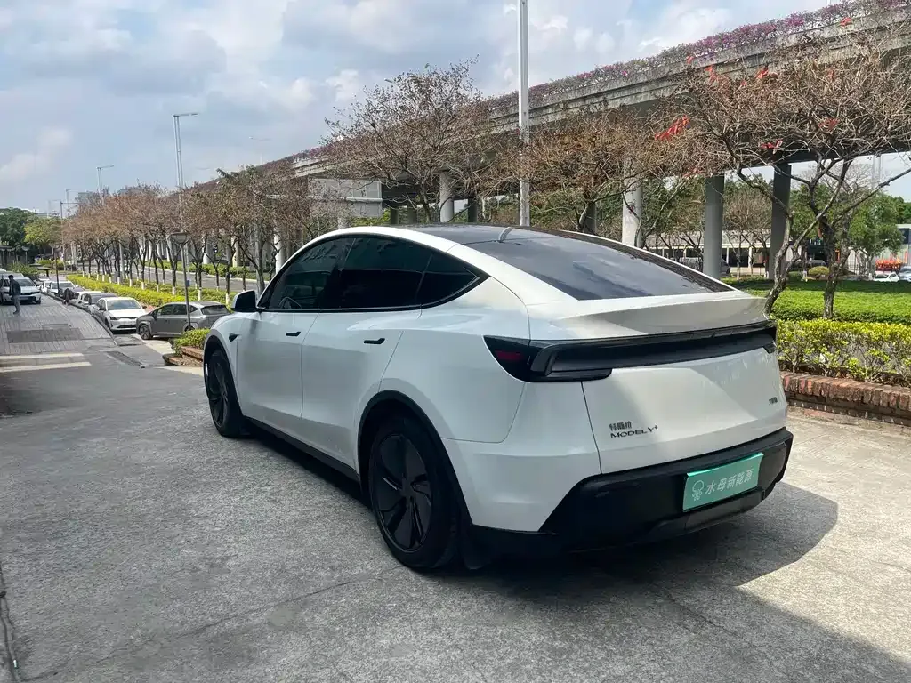 Tesla Model Y 2025 из CN, фото 8