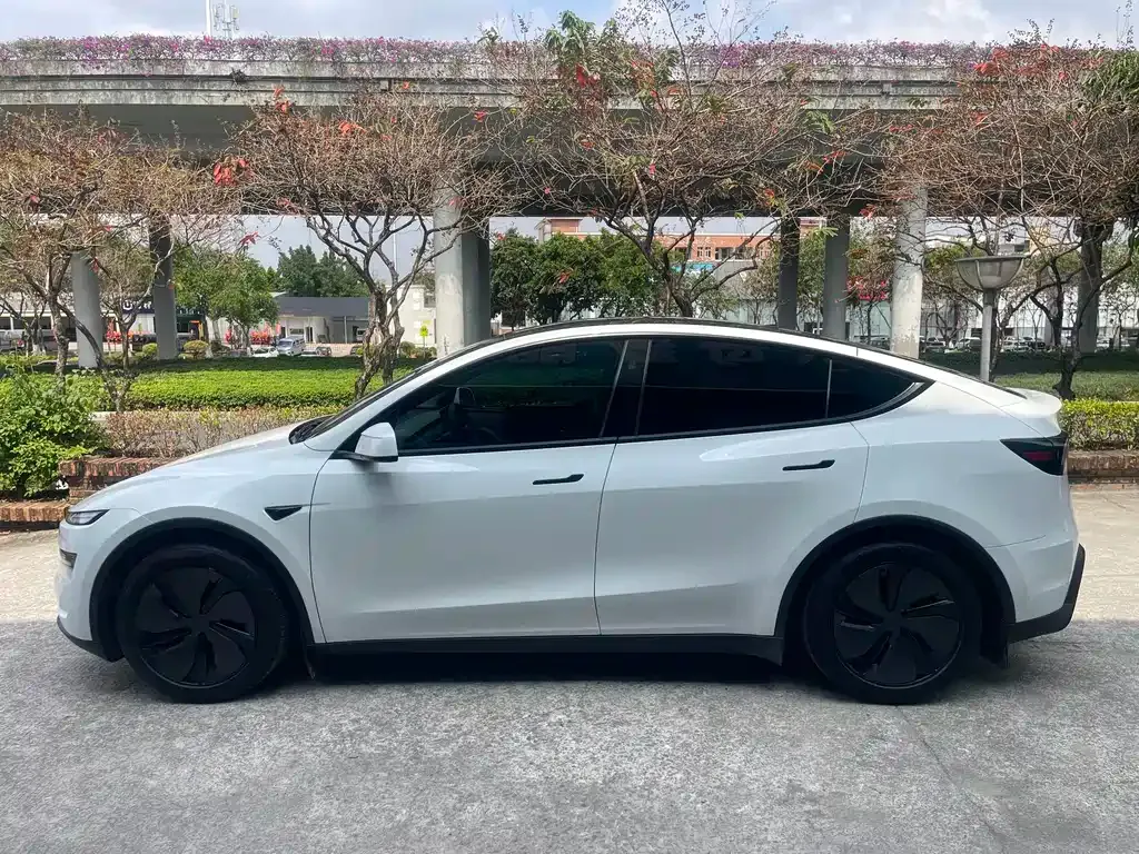 Tesla Model Y 2025 из CN, фото 9