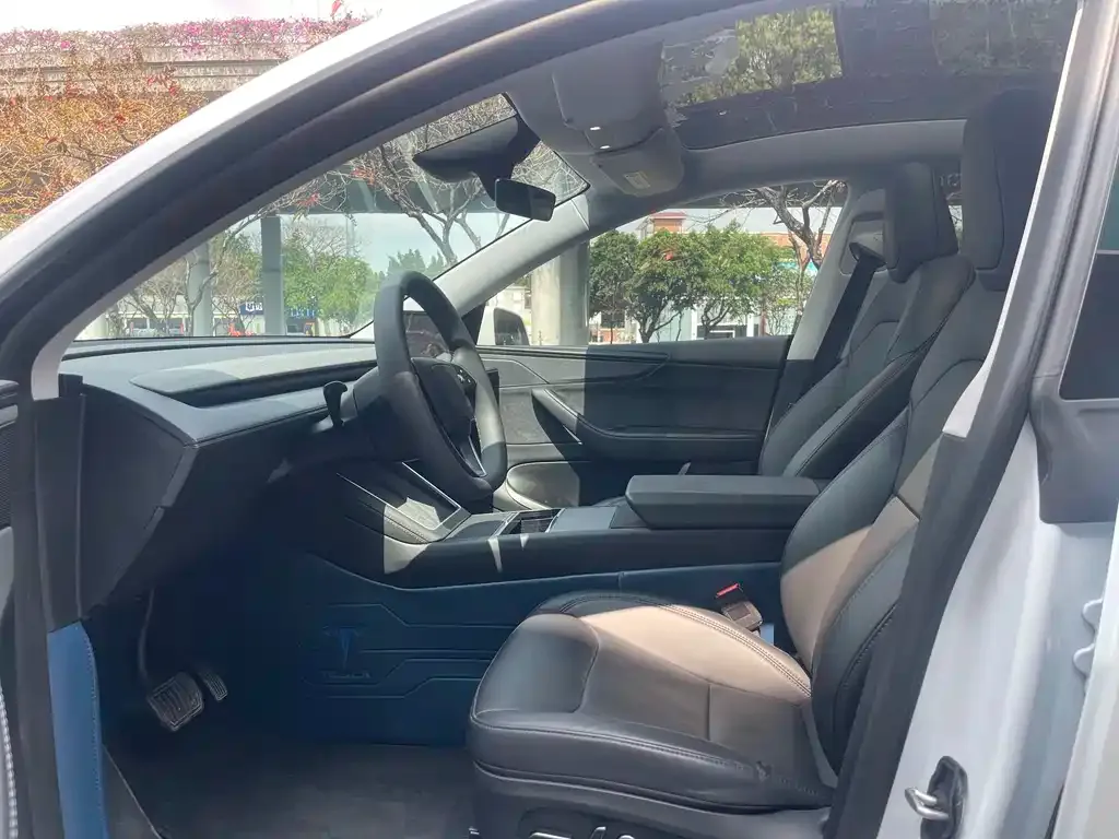 Tesla Model Y 2025 из CN, фото 6