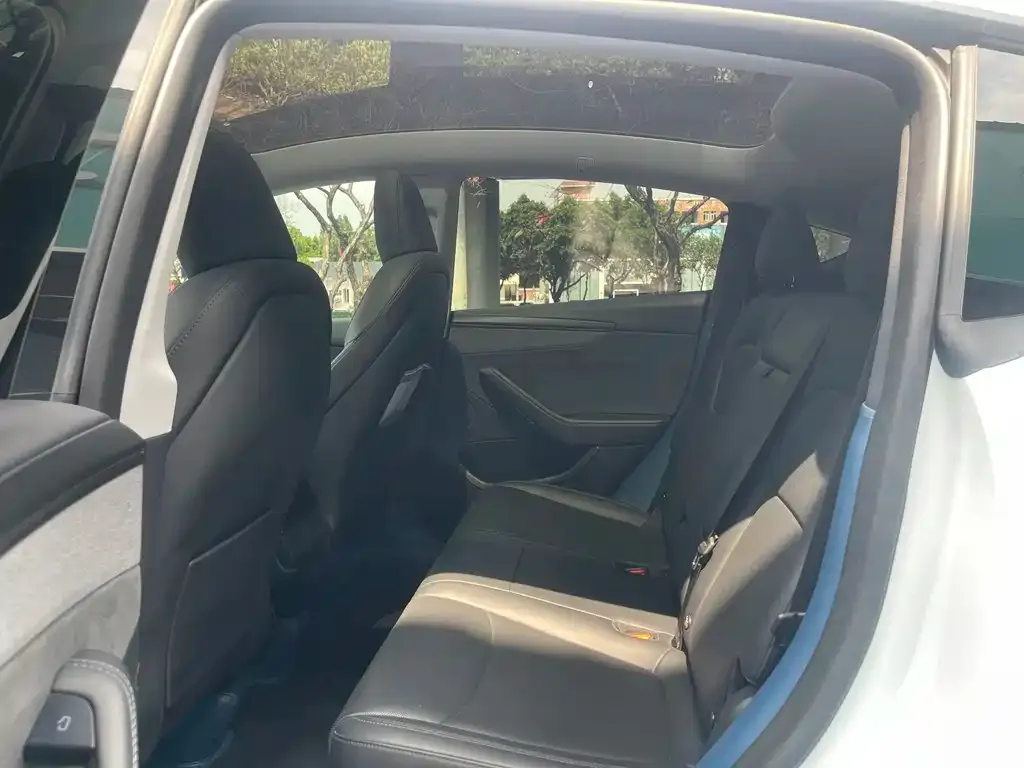 Tesla Model Y 2025 из CN, фото 2