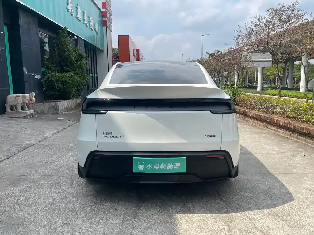Tesla Model Y 2025 из CN, фото 10