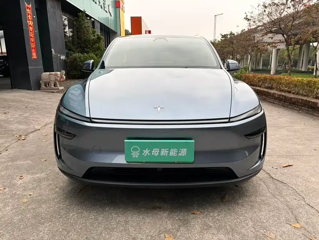 Tesla Model Y — фото 4