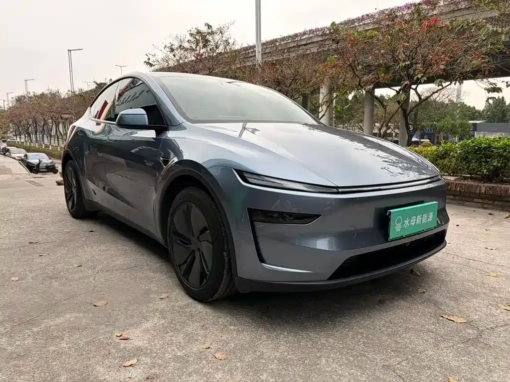Tesla Model Y — фото 2