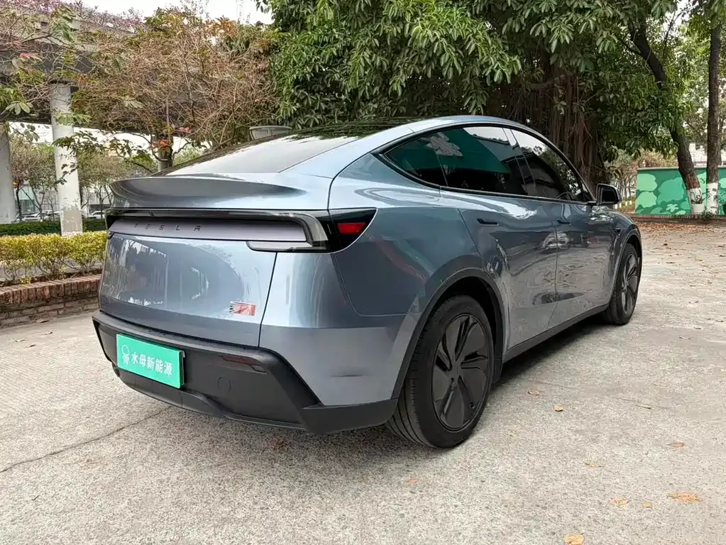 Tesla Model Y — фото 3