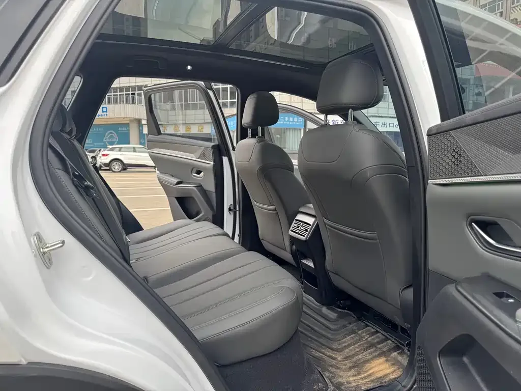 BYD Pro New Energy — фото 9