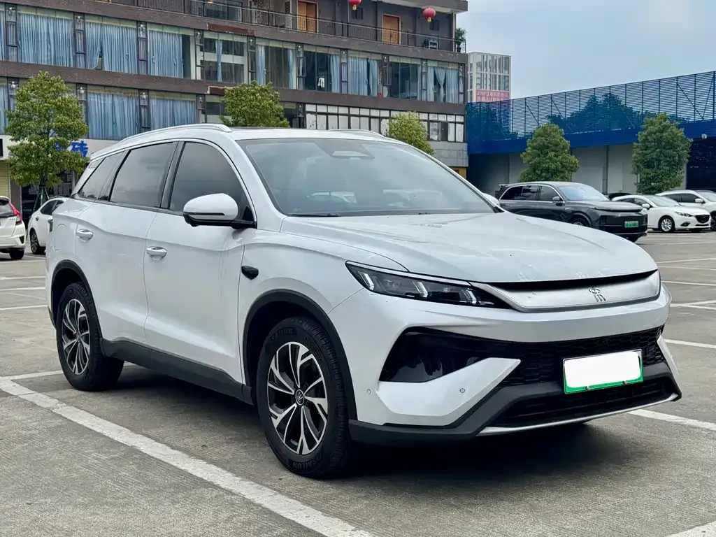 BYD Pro New Energy — фото 2