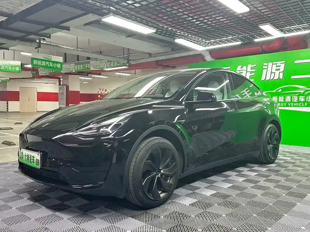 Tesla Model Y — фото 1