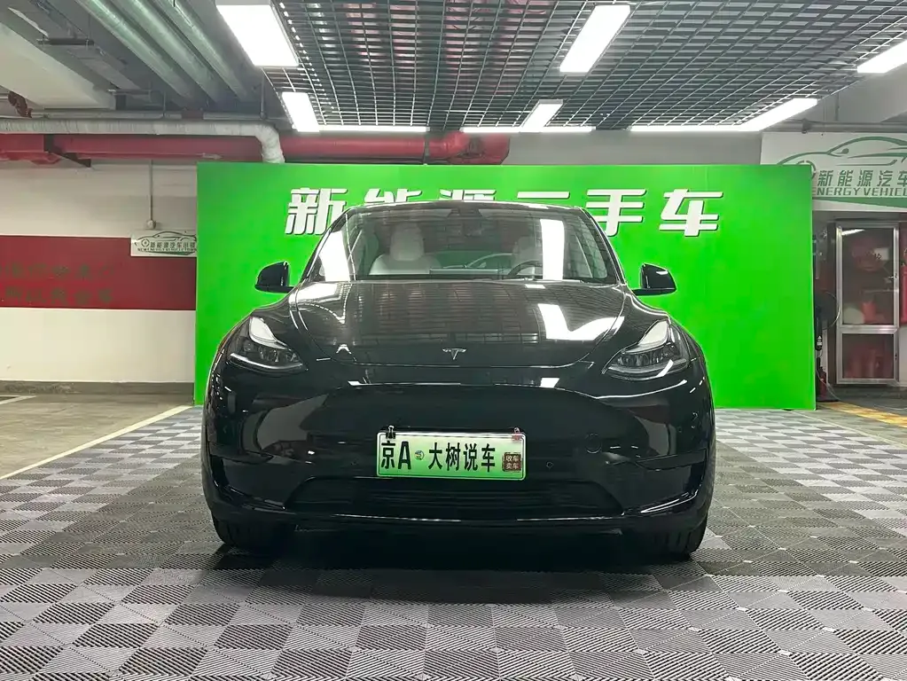 Tesla Model Y — фото 8