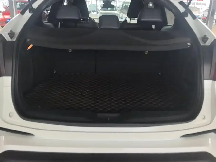 Toyota C-HR 2021 из CN, фото 10