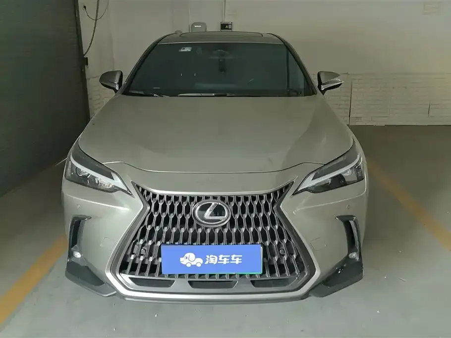 Lexus NX New Energy 2024 из CN, фото 1