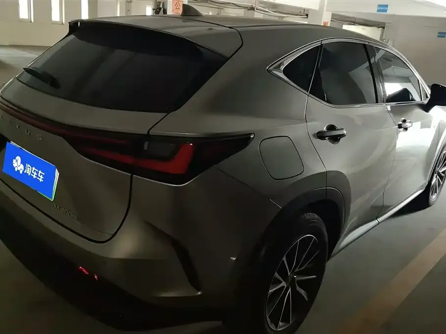 Lexus NX New Energy 2024 из CN, фото 8