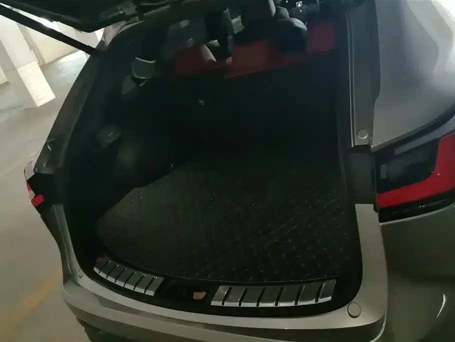 Lexus NX New Energy 2024 из CN, фото 5