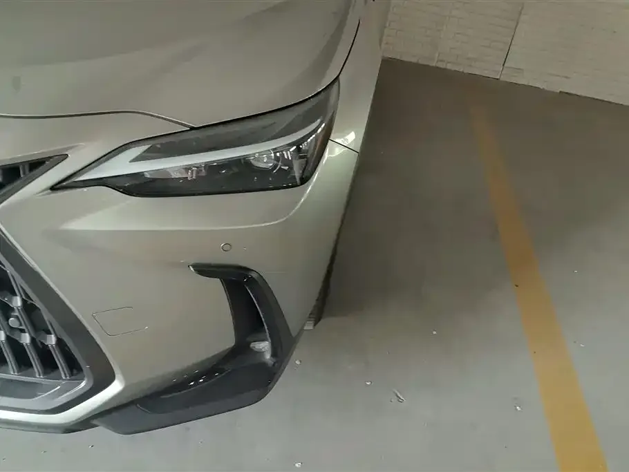 Lexus NX New Energy 2024 из CN, фото 7