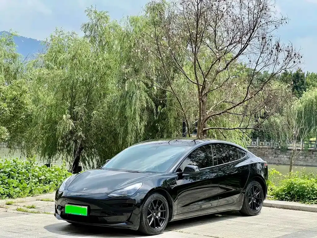 Tesla Model 3 2021 из CN, фото 1
