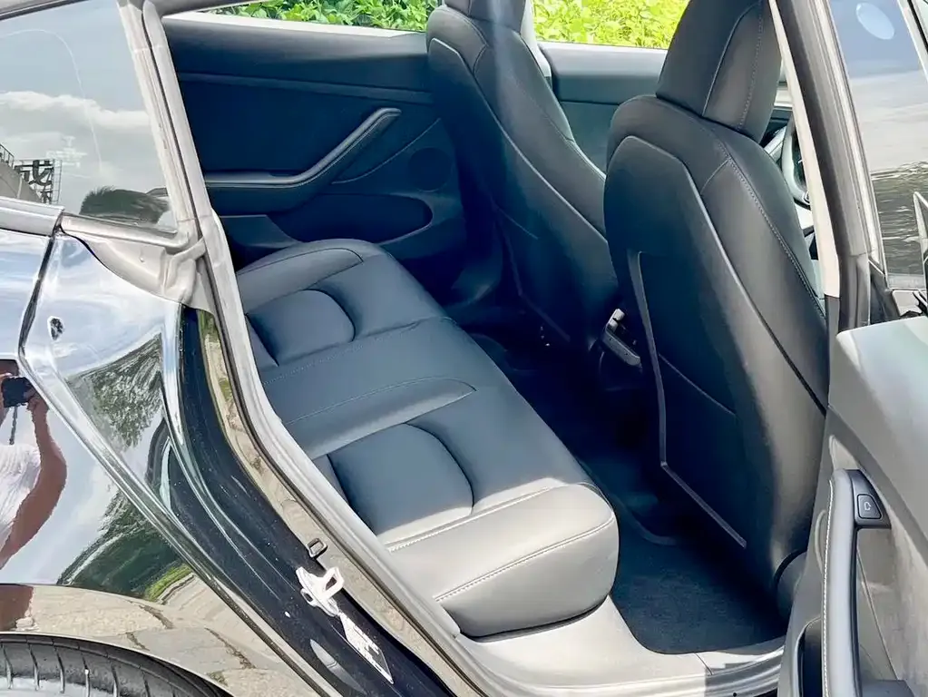 Tesla Model 3 2021 из CN, фото 7