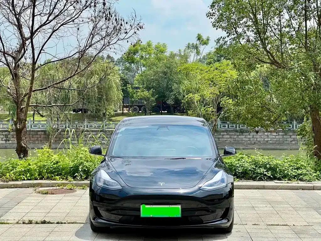 Tesla Model 3 2021 из CN, фото 5