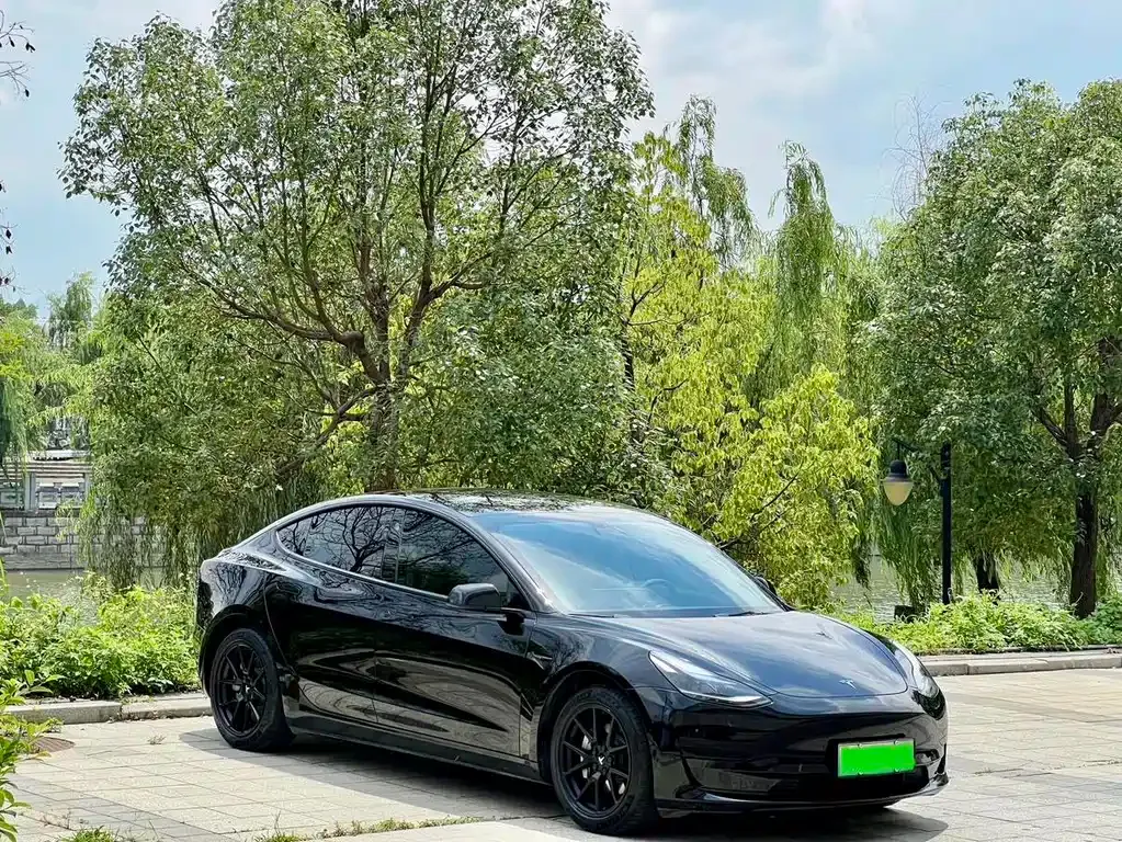 Tesla Model 3 2021 из CN, фото 6