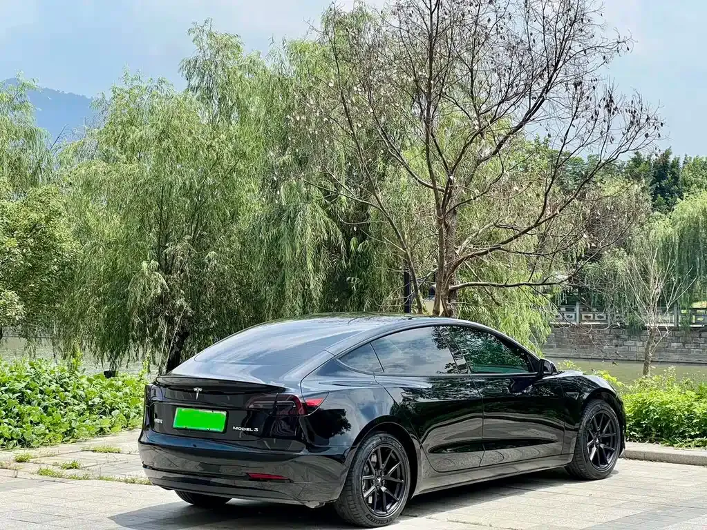 Tesla Model 3 2021 из CN, фото 10