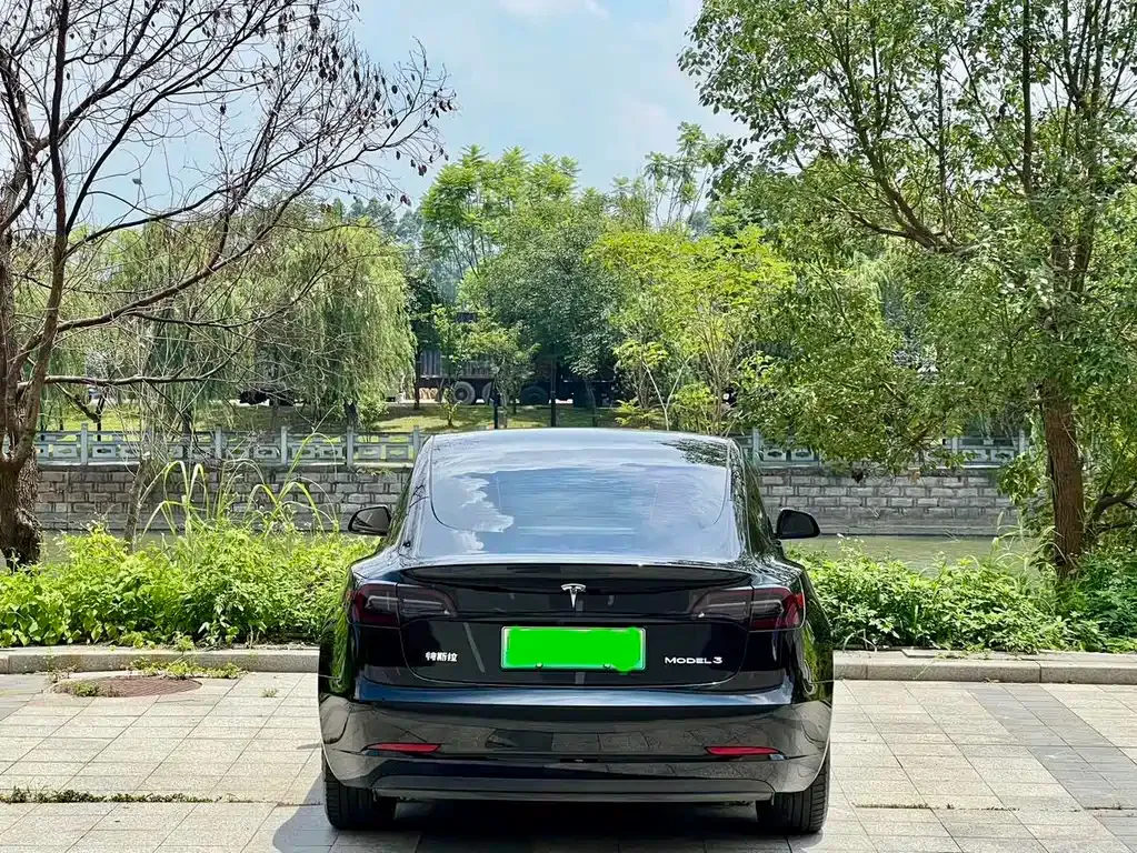 Tesla Model 3 2021 из CN, фото 9