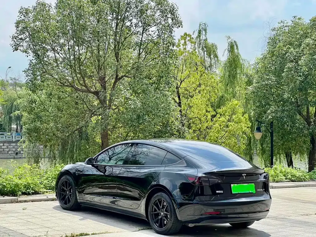 Tesla Model 3 2021 из CN, фото 3