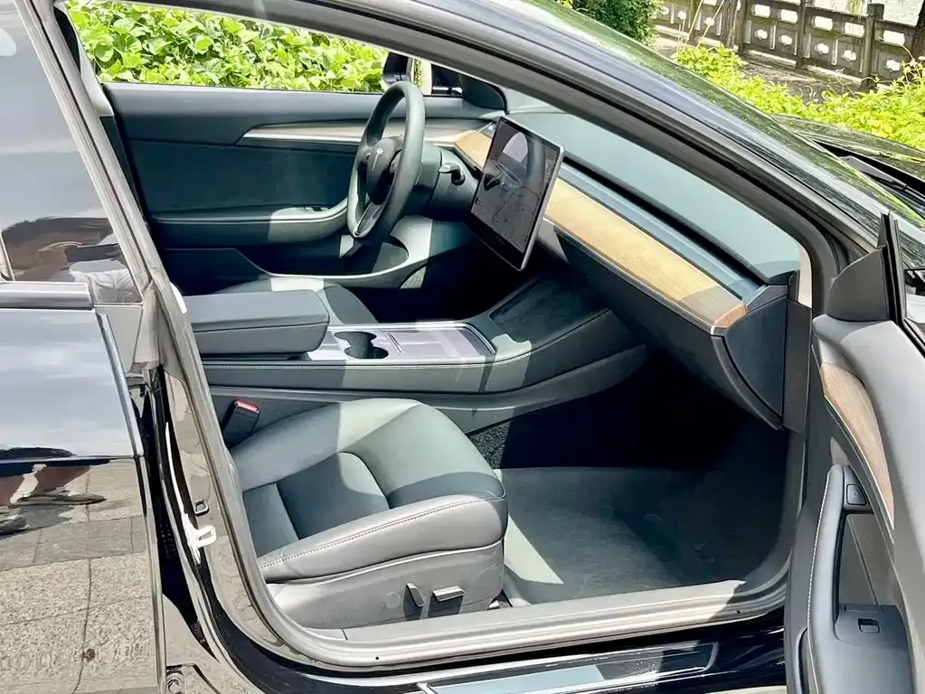 Tesla Model 3 2021 из CN, фото 4
