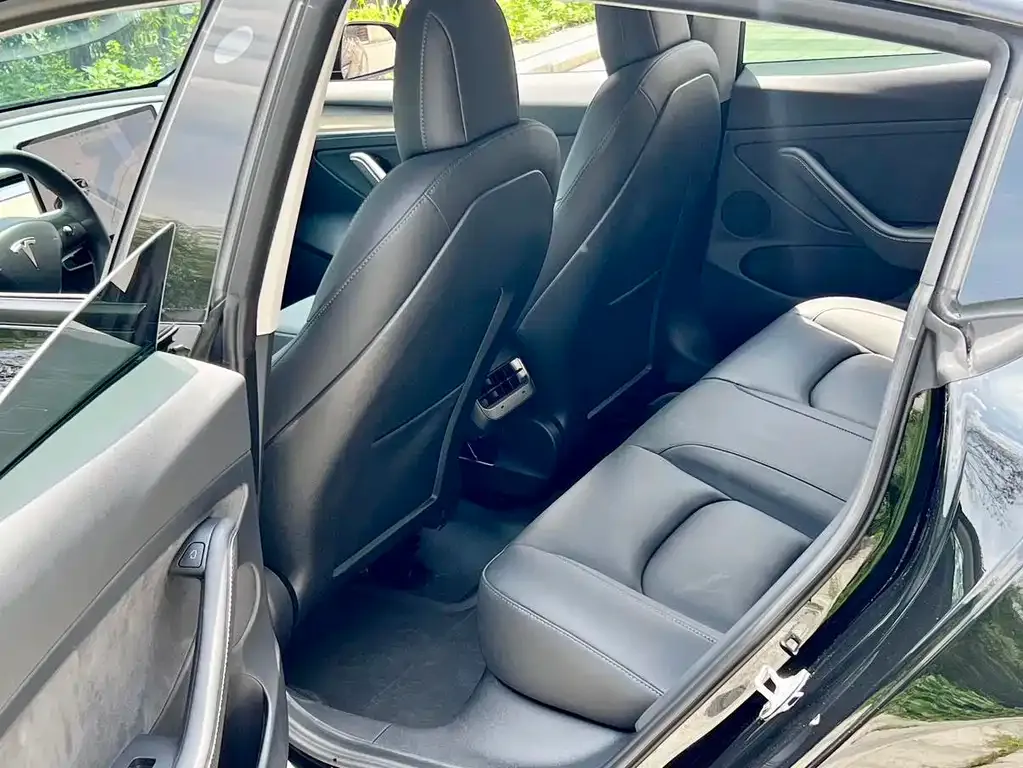 Tesla Model 3 2021 из CN, фото 2