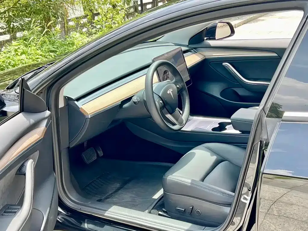 Tesla Model 3 2021 из CN, фото 8