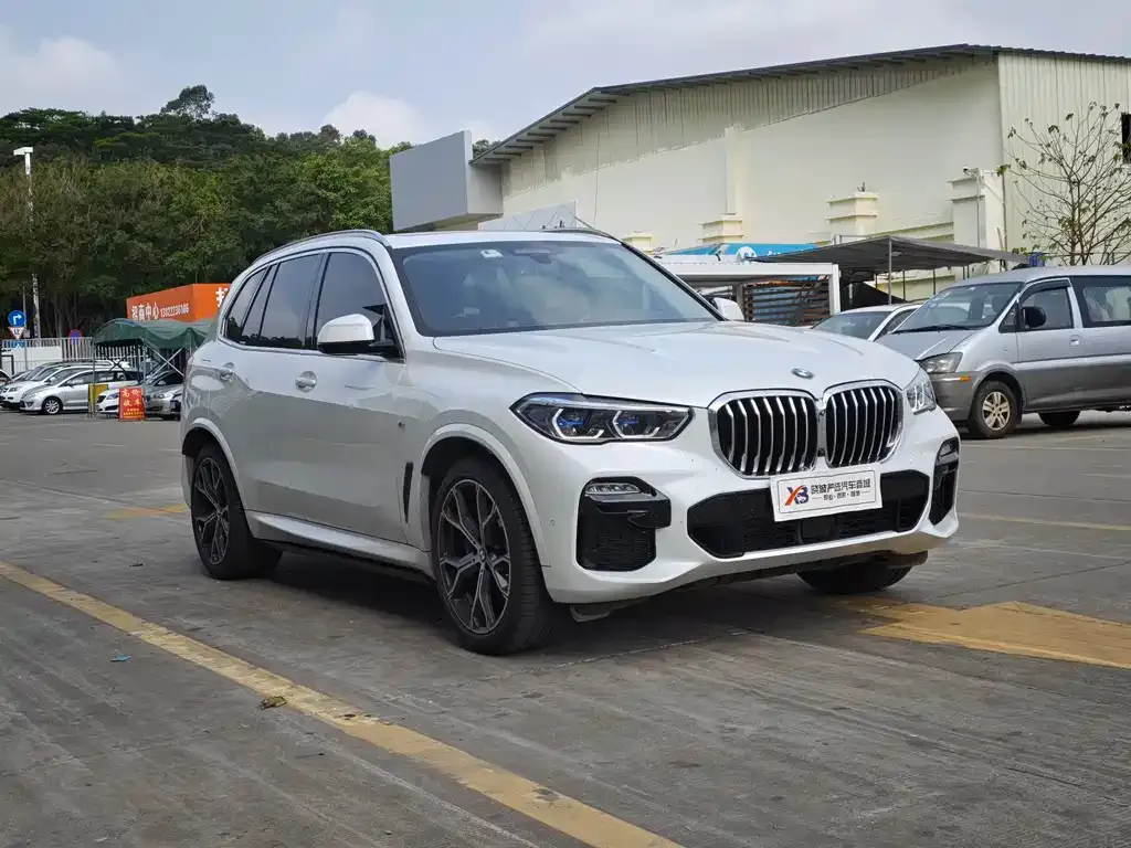 BMW X5 (Import) 2021 из CN, фото 4