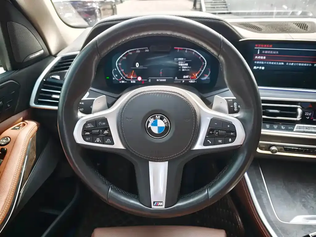BMW X5 (Import) 2021 из CN, фото 10