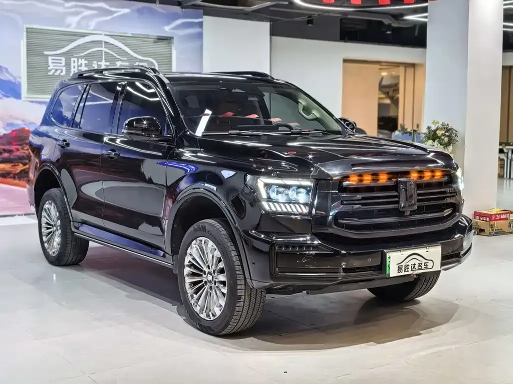 Tank 500 New Energy 2024 из CN, фото 3
