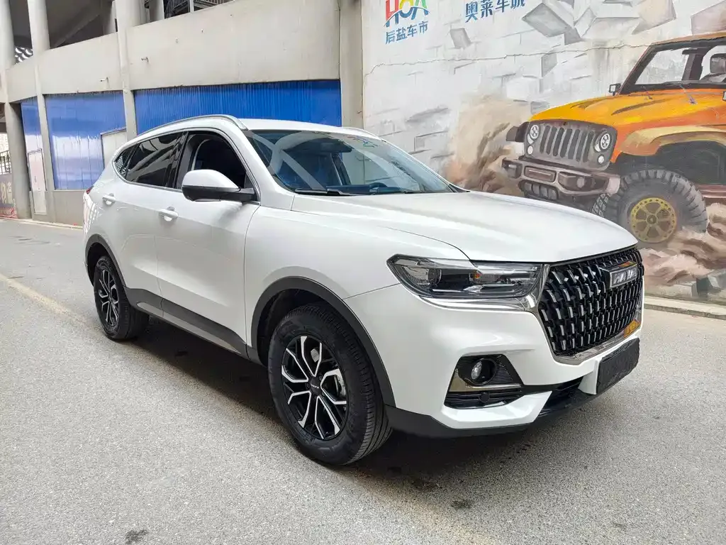 Haval H6 — фото 8