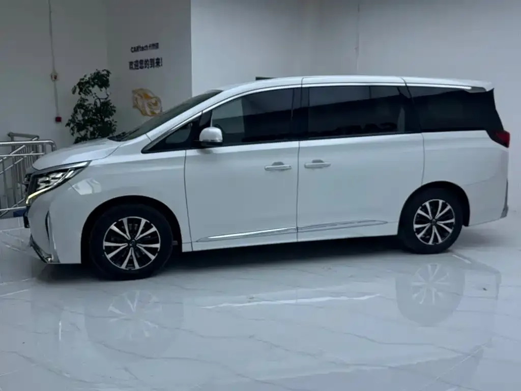 GAC Motor Trumpchi M8 2023 из CN, фото 6