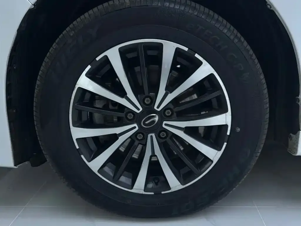 GAC Motor Trumpchi M8 2023 из CN, фото 5