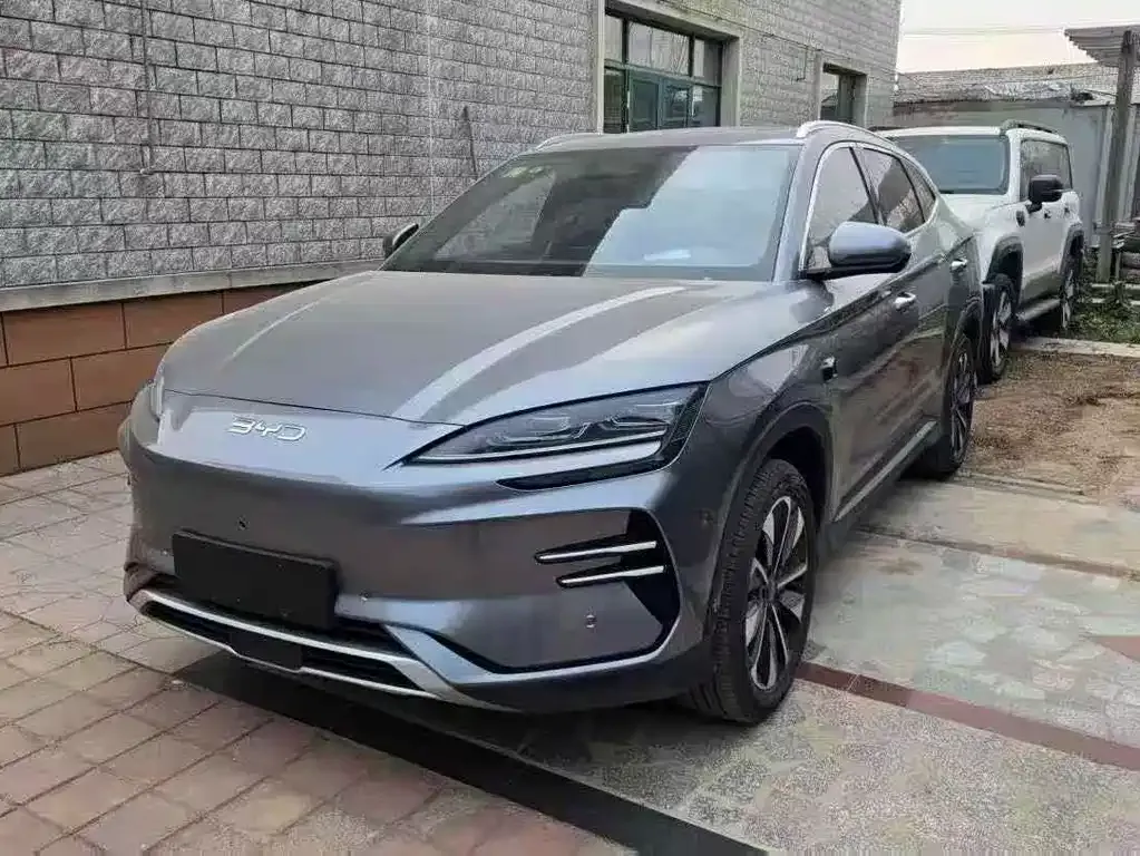BYD PLUS New Energy 2024 из CN, фото 1
