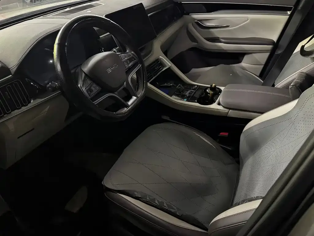 BYD PLUS New Energy 2024 из CN, фото 4
