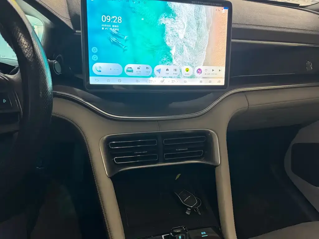 BYD PLUS New Energy 2024 из CN, фото 5