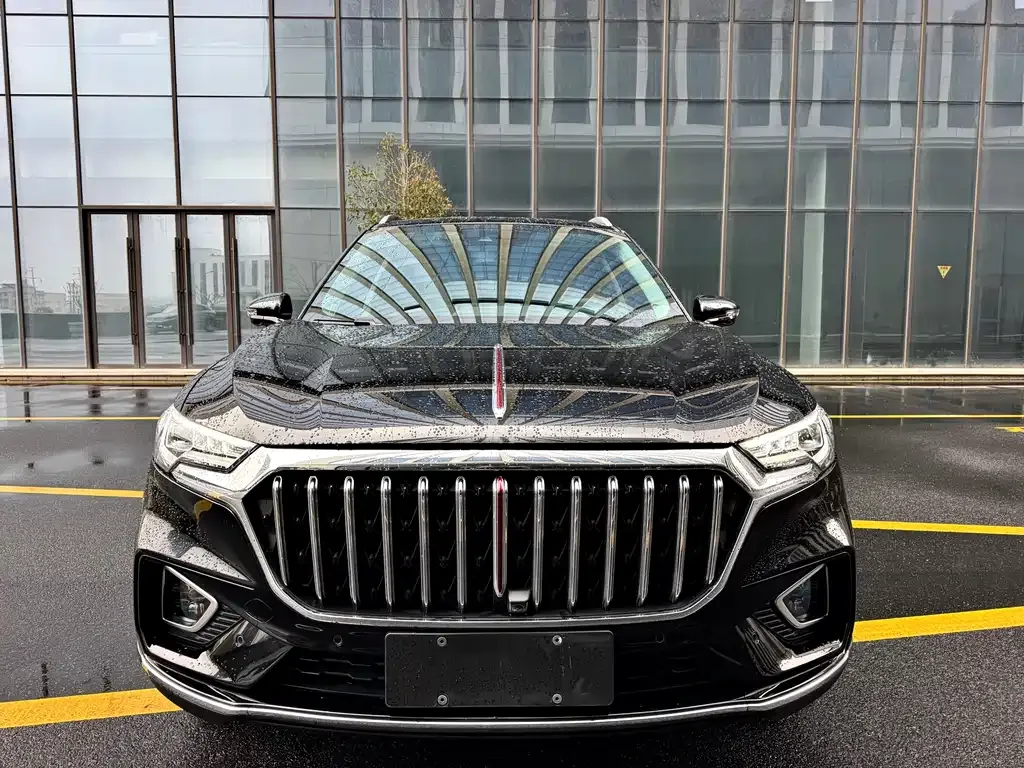 Hongqi HS5 2021 из CN, фото 8