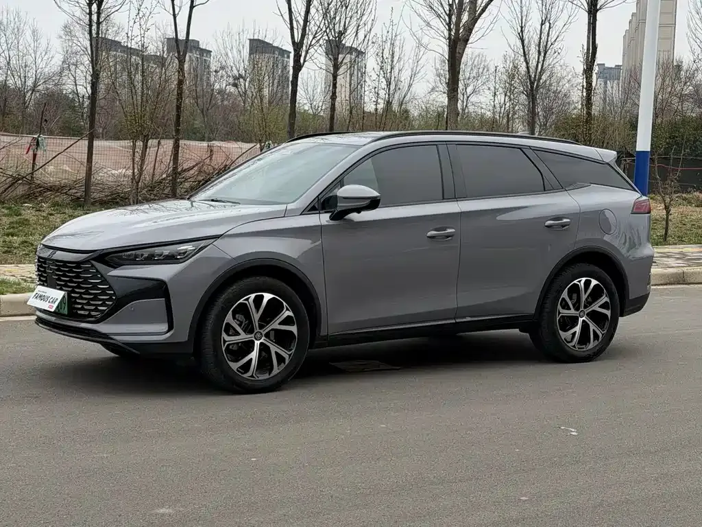 BYD Tang New Energy — фото 1