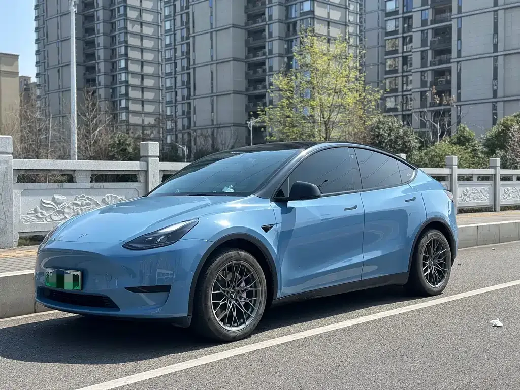 Tesla Model Y — фото 1