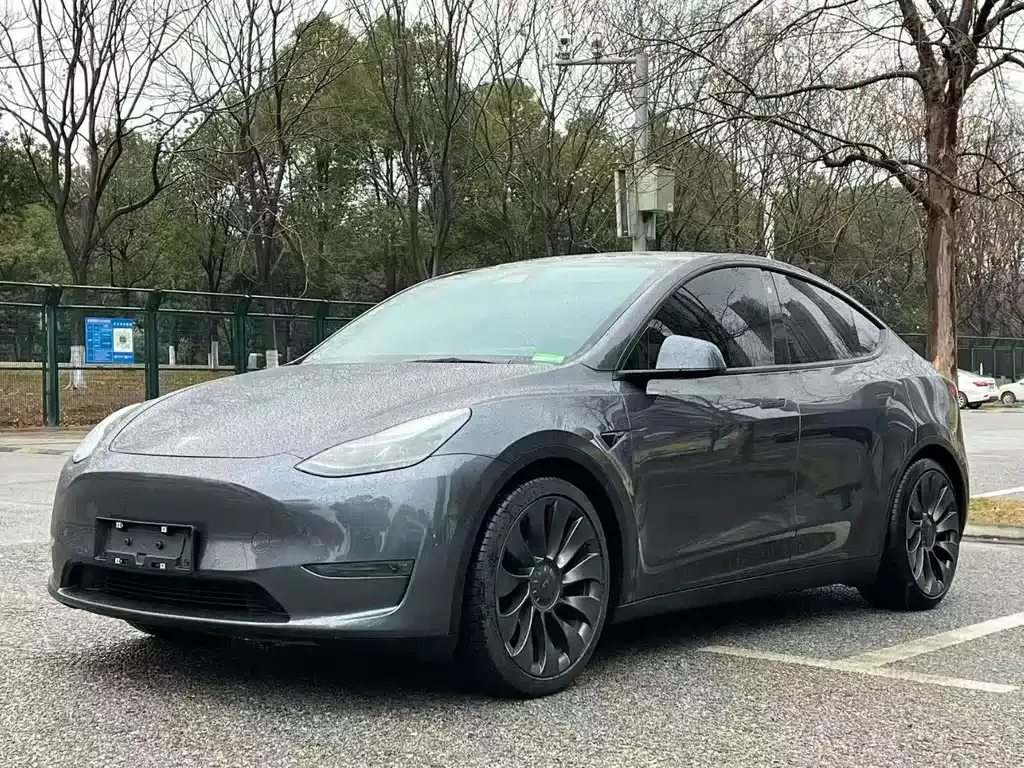Tesla Model Y — фото 1