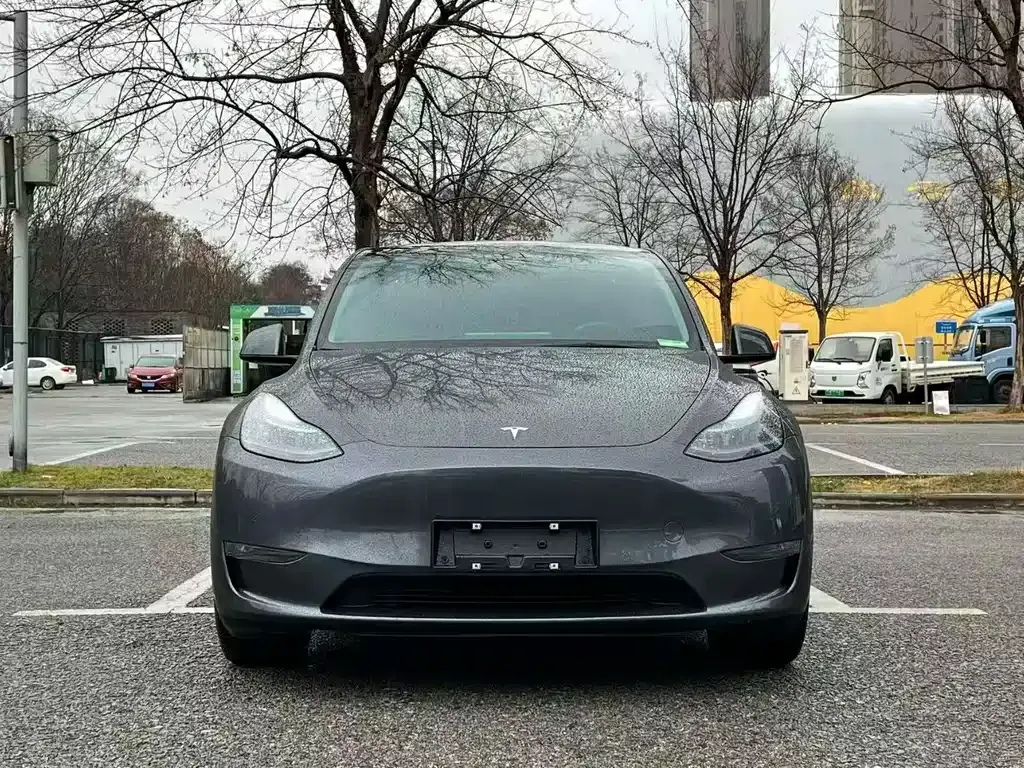 Tesla Model Y — фото 4