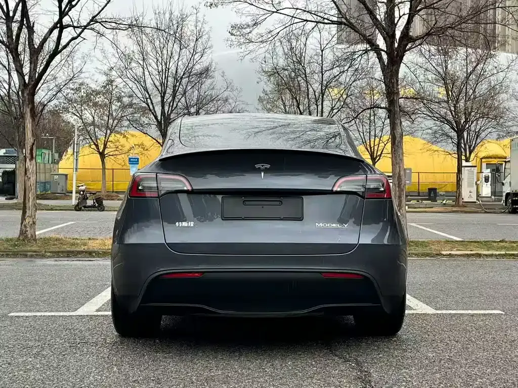 Tesla Model Y — фото 6