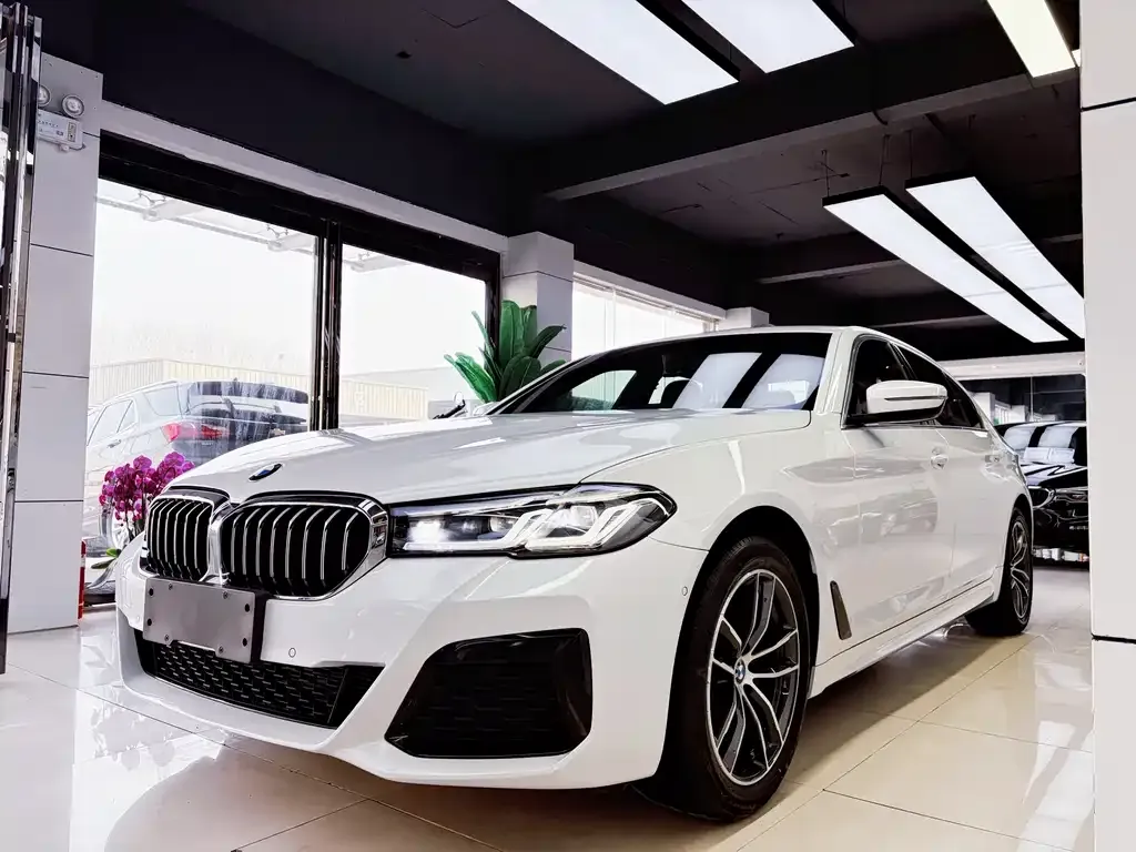 BMW 5 Series 2021 из CN, фото 1