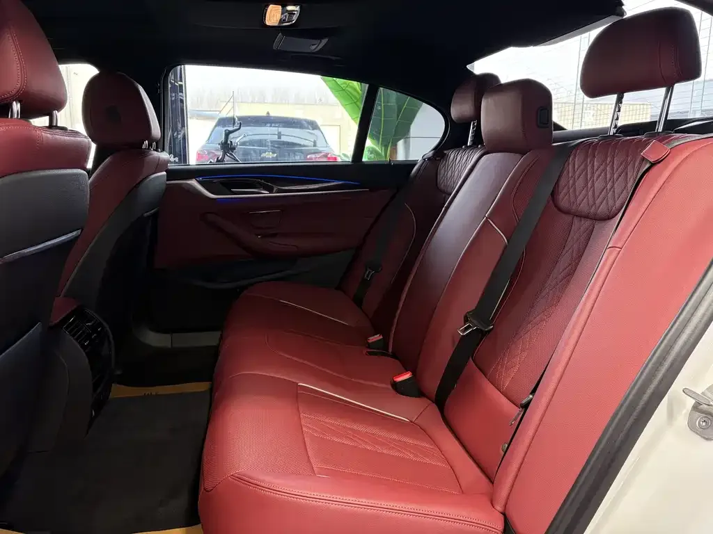 BMW 5 Series 2021 из CN, фото 5