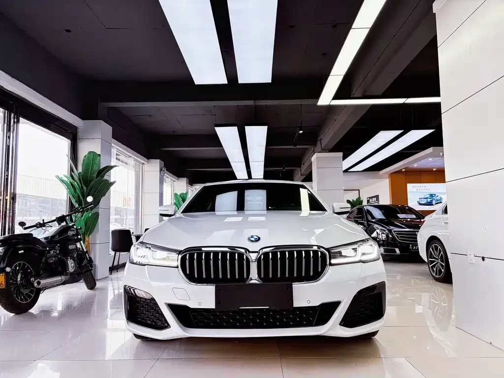 BMW 5 Series 2021 из CN, фото 8